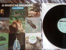 Claude Larson ?– A Musical Wildlife Vol.5 Africa - LP - Sonoton ?– SON 111