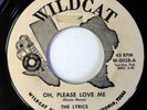 LYRICS 45 Oh, Please Love Me/The Girl I Love WILDCAT doo wop PROMO kz335