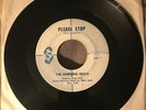 MORNING REIGN “Please Stop / Day It Once Again” Rare Psych PACIFIC NORTHWEST VG+