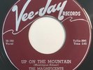 * MAGNIFICENTS Up On The Mountain/Why Did She Go DOO WOP R&B Vee-Jay 45 Hear
