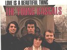 YOUNG RASCALS--PICTURE SLEEVE + 45--(YOU BETTER RUN)---PS--PIC--SLV