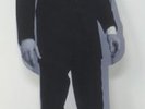 Elvis Presley Cardboard Standing Talking  Figure