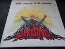 Bob Marley & the Wailers Uprising Tuffgong Island German  LP NM Shipping 4$