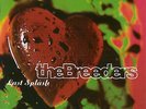 Breeders - Last Splash vinyl LP IN STOCK NEW/SEALED