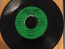 Rare Detroit Garage Punk The Underdogs Hideout