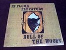 13TH FLOOR ELEVATORS 