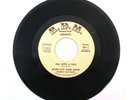 RIVER CITY FUNK BAND FELL INTO A BAG 45 RARE KENTUCKY FUNK RDM 988 Soul Train