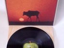 GEORGE HARRISON on LP RAGA ORIGINAL SOUNDTRACK - RAVI SHANKAR - USA 1971 - APPLE
