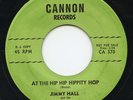Hear - Rare Rock 'n Roll / Doo Wop 45 - Jimmy Hall - At The Hip Hip Hippity Hop