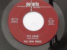 THE NEW BREED It's Love / Wasting My Time 45 - Orig Polaris 711 GARAGE ROCK 1966