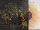 King Gizzard and the Lizard Wizard murder of the universe LP VOMIT COFFIN VINYL