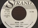 RARE Teen / Rockabilly (45) LARRY HALL 
