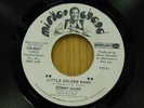 Donny Mann DJ 45 Little Golden Band vocal bw instrumental - Mister Chand M-