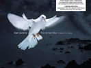 Karl Jenkins - Karl Jenkins - The Armed Man: A Mass for Peace (180g 12
