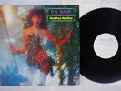 C.D. BAND HOODOO VOODOO PHILIPS RJ-7597 Japan PROMO VINYL LP