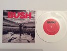 Bush Everything Zen 7