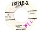 RARE SURF 45 RPM RECORD - The Raydons-Visibility Zero PROMO HEAR