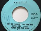 NORTHERN SOUL Honey & The Bees WHY DO YOU ALWAYS HURT Arctic 45 rare Canadian