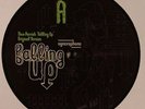 PARRISH, Theo - Falling Up (remixes) - Vinyl (double 12