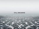 `REDMAN,JOSHUA`-STILL DREAMING  (US IMPORT)  VINYL LP NEW