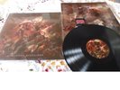 Morbid Angel ?– Kingdoms Disdained Vinyl  Death Metal