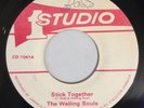 WAILING SOULS - STICK TOGETHER - STUDIO 1 ( ROOTS 7 )