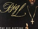 Big L - The Big Picture (1974 - 1999) '00 2xLP US ORG  DJ Premier Lord Finesse