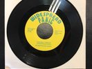 Widespread Panic Coconut Image/Monkey Image WP2116 45rpm Vinyl Single