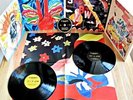 THE AVALANCHES - Wildflower   DELUXE 2 LP + CD + Poster + 4fach-Cover   Ungehört