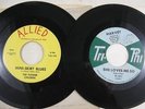 2 Vintage 45 Records Mini-Skirt Blues Flower Children Harvey Any Way You Wanta