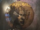 David Bowie / Omikron - Nomad Soul / 2LP Picture Disc