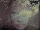 Delaney Davidson-Shining Day  VINYL NEU
