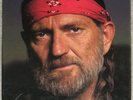 WILLIE NELSON   10 VINYL LP BOXED SET   INCLUDES PICTURE DISC    SEEMINGLY NEW