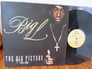 BIG L THE BIG PICTURE 1974- 1999 2LP 2000 US ORIG Lord Finesse MOS DEF VG+/VG++