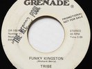 TRIBE Funky Kingston GRENADE REGGAE FUNK PROMO WLP 45 Hear