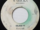 ELIJAH Selassi Hi / Mount Zion WARICKA  ROOTS REGGAE 45 Hear