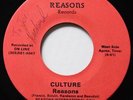REASONS Culture / Dance With Me REASONS MIAMI REGGAE DIGI ROOTS 45 Hear