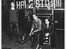 HALESTORM INTO THE WILD LIFE DELUXE DOUBLE LP VINYL & CD NEW 33RPM