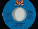 Denise LaSalle 