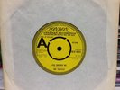 The Turtles - You Showed Me (1969) Rare 7