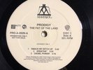 Prodigy - The Fat of The Land - 2 Disc Vinyl Album