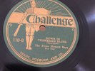 1920s COUNTRY YOUNG BROS TENN BAND Chal 110 (ex Gennett) Down Tennessee Blues E+