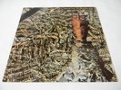 Siouxsie And The Banshees US LP JuJu Original Inner Sleeve Near Mint