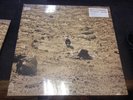 BEN HOWARD - NOONDAY DREAM LIMITED COLOURED VINYL 2-LP + DOWNLOAD NEW MINT 2018