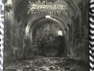 Immortal Fate Beautiful LP Red Wax Infest Spazz Plutocracy No Less