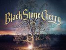 Black Stone Cherry - Family Tree  180 Gram Transparent Vinyl LP  New & Sealed