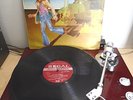 Roger Cook Minstrel In Flight LP Scarce 1973 UK SLRZ 1035 Regal Zonophone All VG