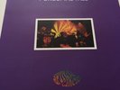 Porcupine Tree Spiral Circus Ltd Edition of 500 Worldwide 1997 Vinyl