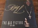 BIG L THE BIG PICTURE 1974- 1999 LP Rawkus RWK-1178 ORIGINAL PRESS - SEALED MINT