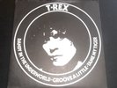 T.Rex - Dandy In the Underworld - Original UK Issue In Pic Sleeve - Mint Disc